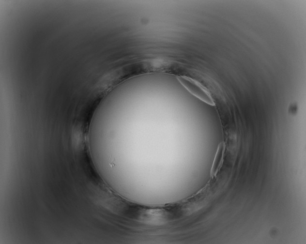 X0000103450324200809121132