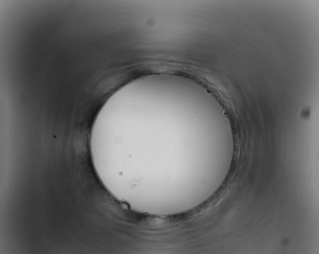 X0000103450325200809121132