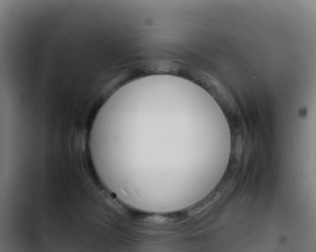 X0000103450326200809121132