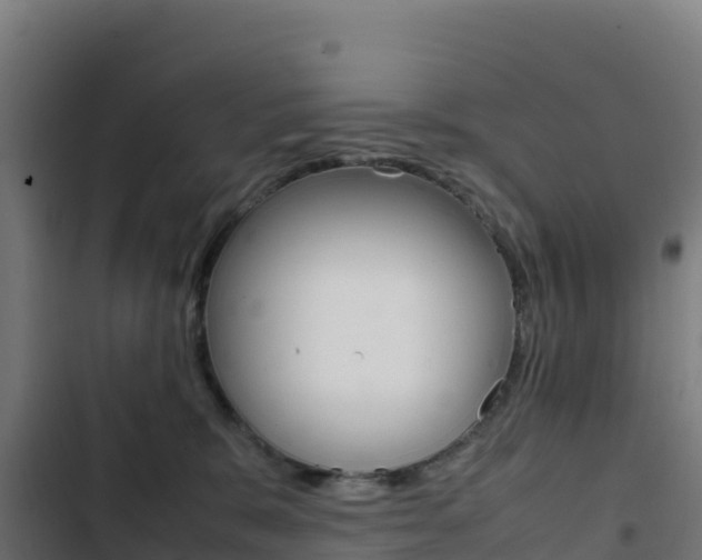 X0000103450327200809121132