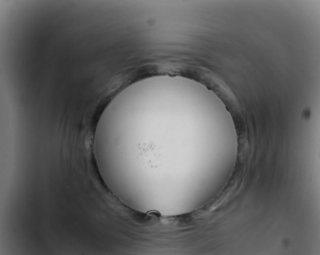 X0000103450329200809121132