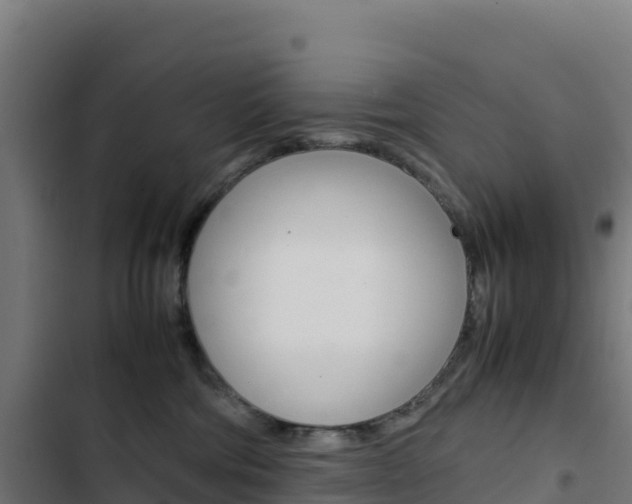 X0000103450330200809121132