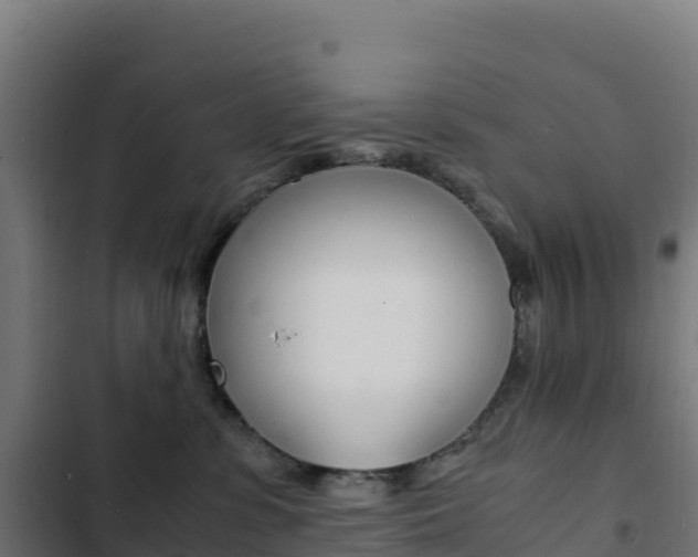 X0000103450331200809121132