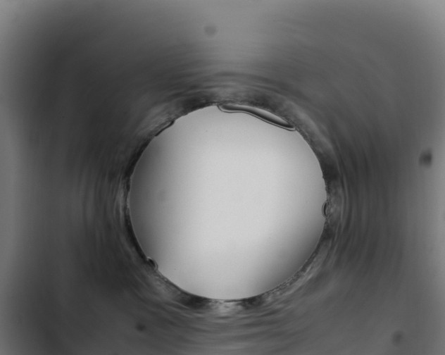 X0000103450333200809121132