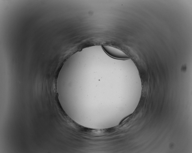 X0000103450335200809121132