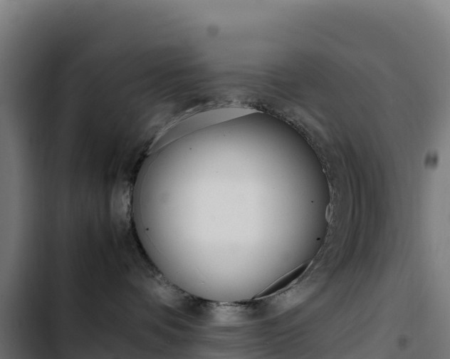 X0000103450336200809121132