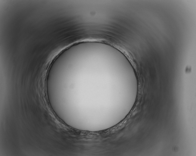 X0000103450337200809121131