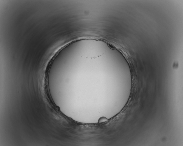 X0000103450338200809121131