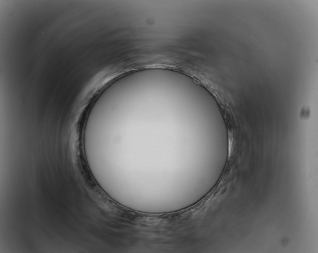 X0000103450339200809121131