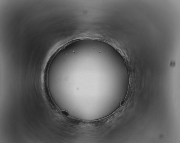 X0000103450340200809121131