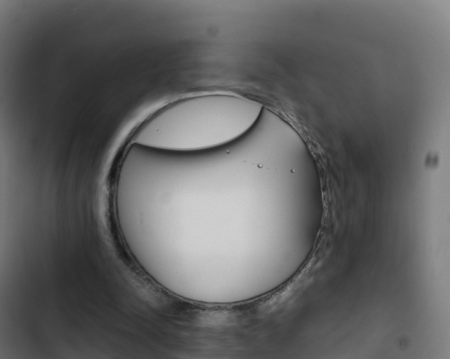 X0000103450342200809121131