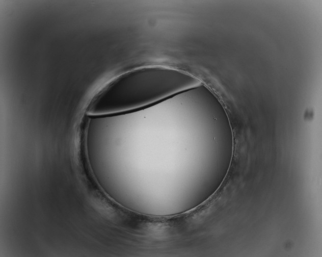 X0000103450344200809121131