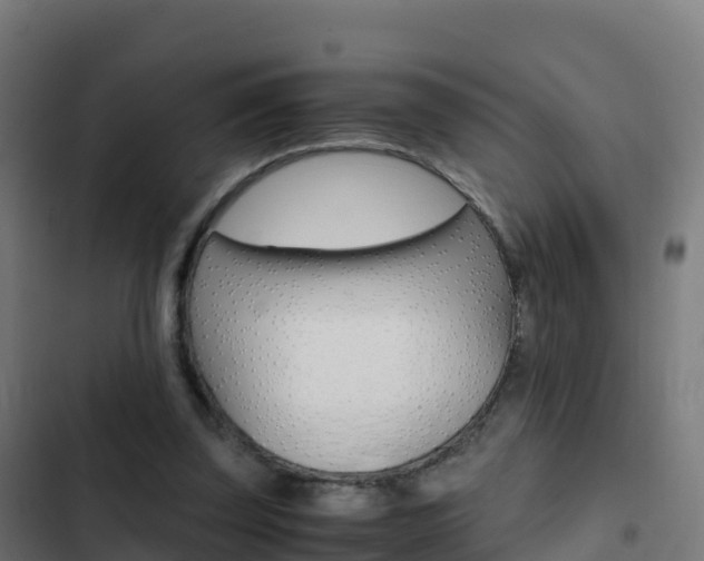 X0000103450347200809121131