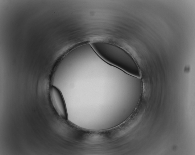 X0000103450348200809121131