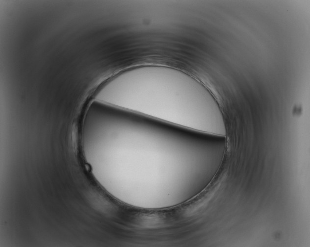 X0000103450349200809121131