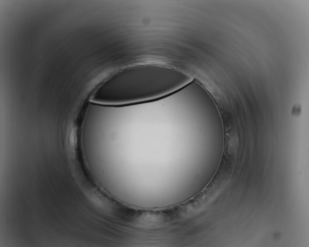 X0000103450350200809121131