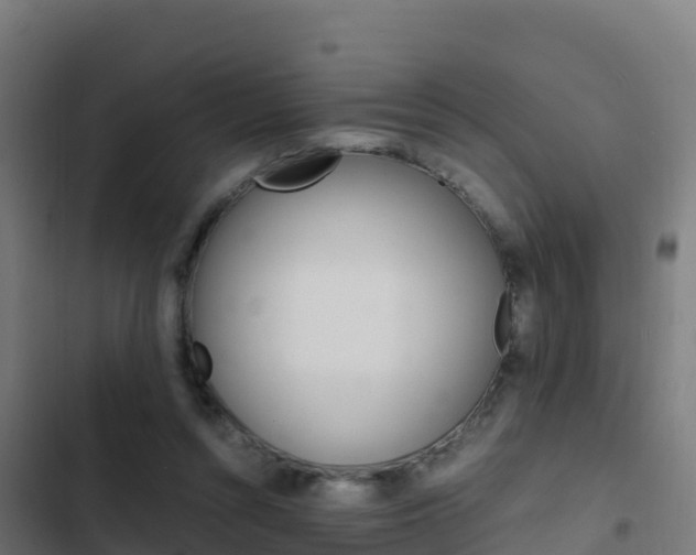X0000103450352200809121131