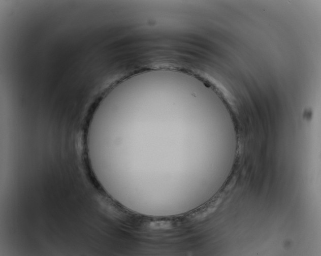 X0000103450353200809121131