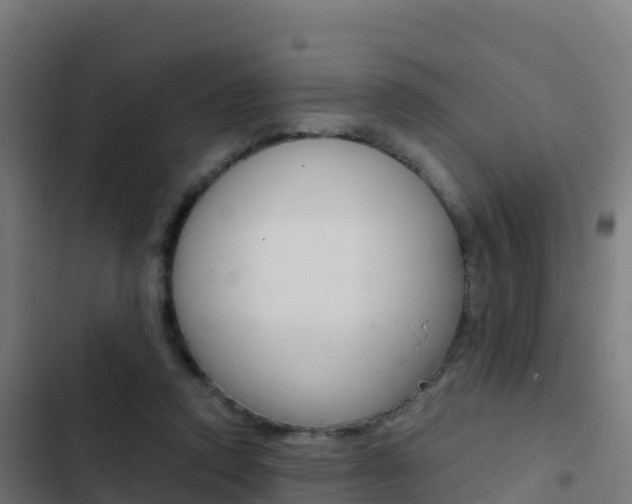 X0000103450354200809121131