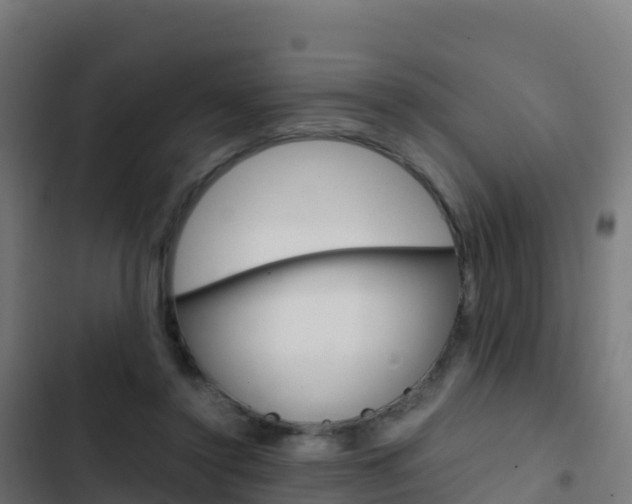 X0000103450356200809121131