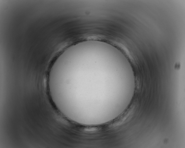 X0000103450357200809121131