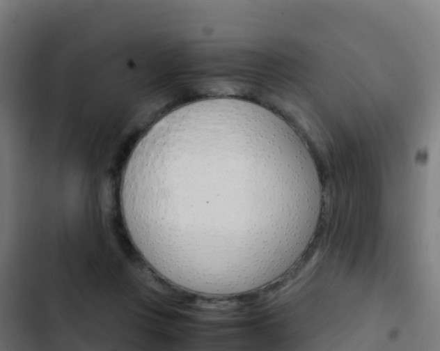 X0000103450359200809121131