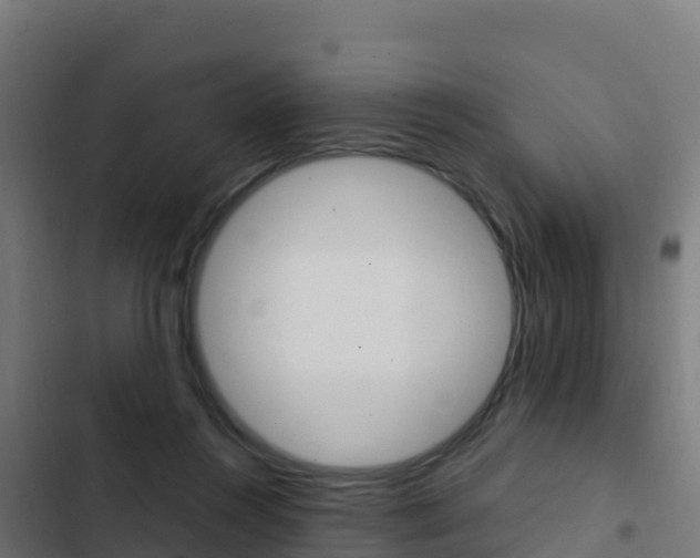 X0000103450360200809121131