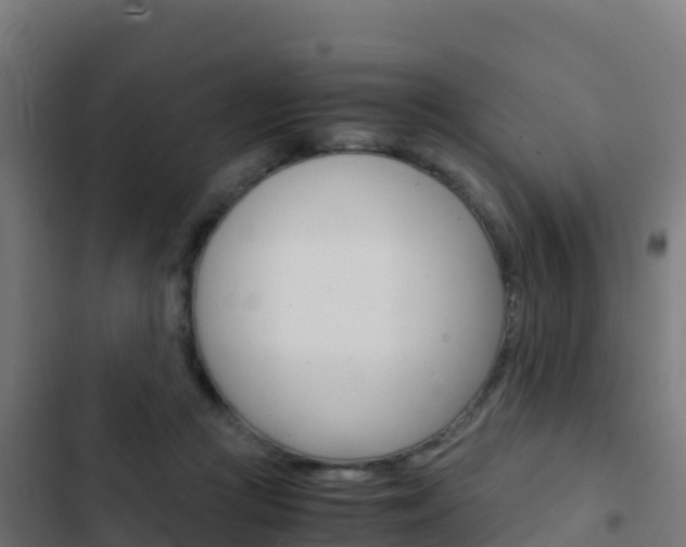 X0000103450361200809121131