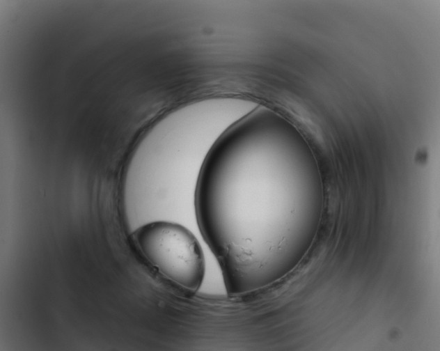 X0000103450362200809121131