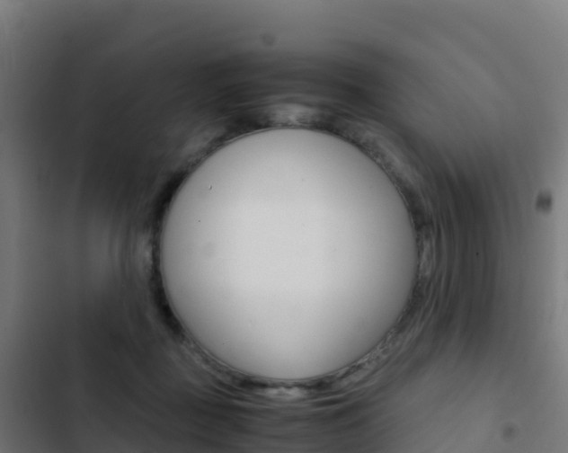 X0000103450363200809121131