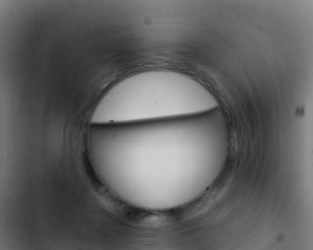 X0000103450364200809121131