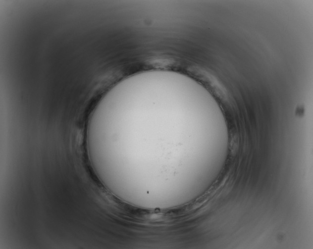 X0000103450365200809121131
