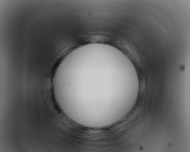 X0000103450367200809121131