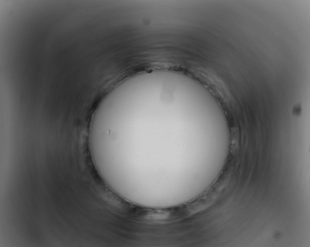 X0000103450369200809121131