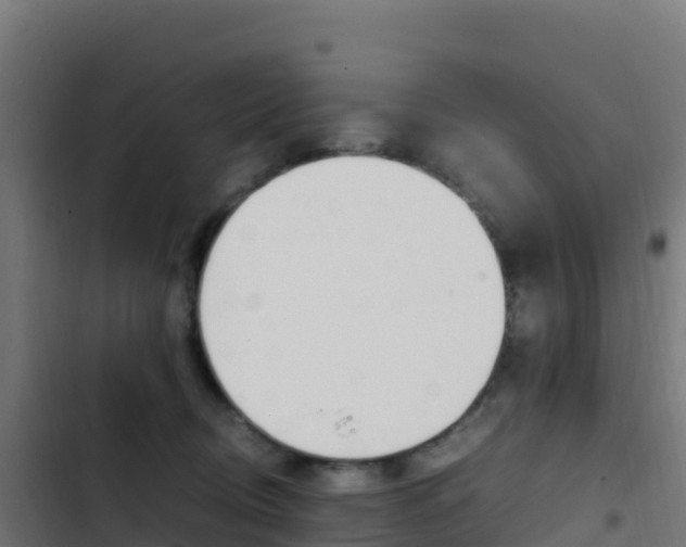 X0000103450370200809121131