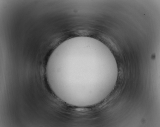 X0000103450371200809121131