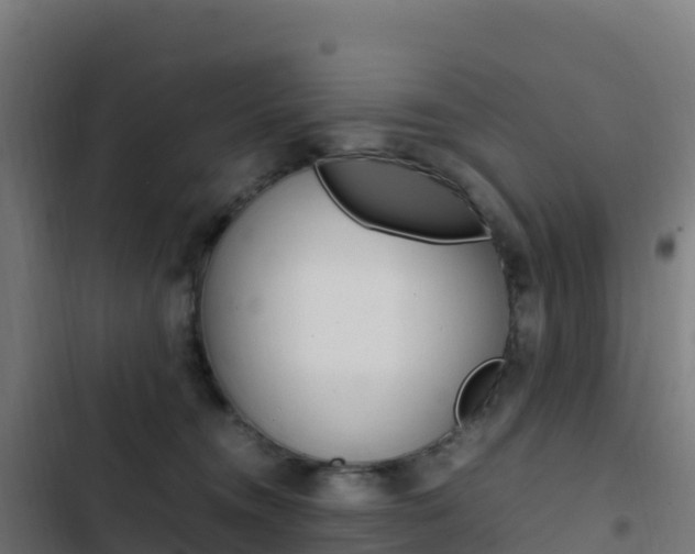X0000103450372200809121131