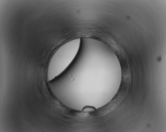 X0000103450374200809121131