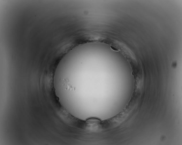 X0000103450376200809121131