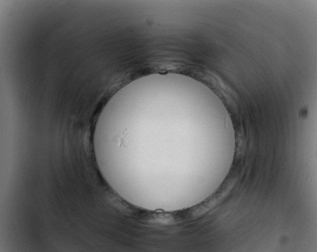 X0000103450377200809121131