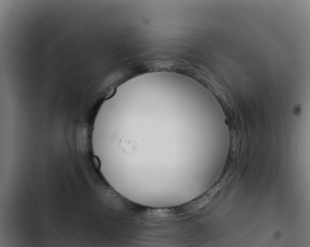 X0000103450378200809121132