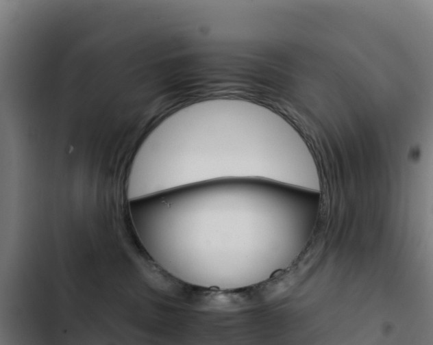 X0000103450379200809121132