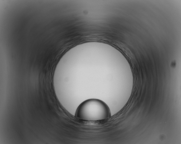 X0000103450380200809121132