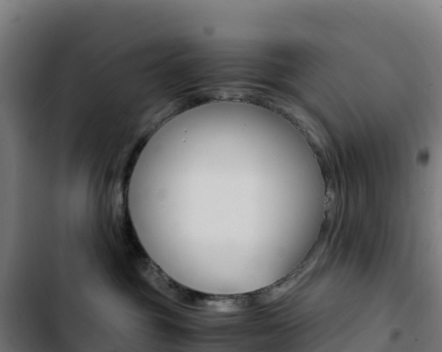 X0000103450381200809121132