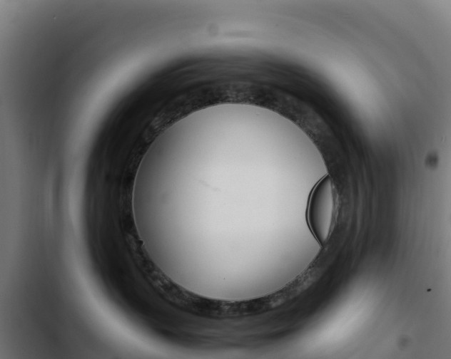 X0000103450383200809121132
