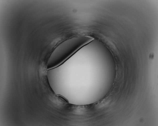 X0000103450384200809121132