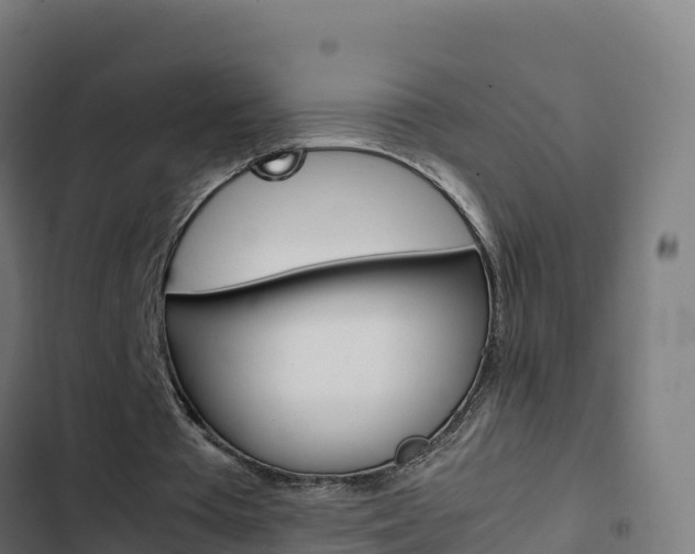 X0000103450385200809121131
