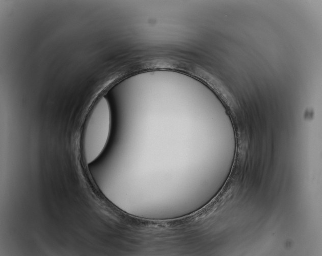 X0000103450386200809121131