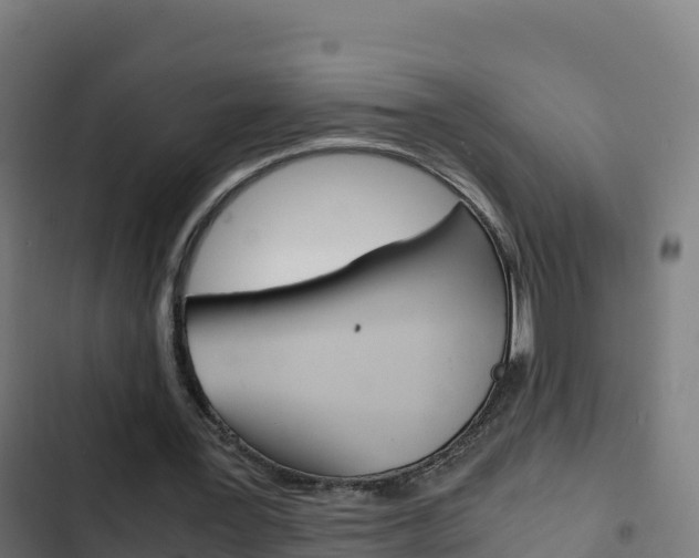 X0000103450387200809121131