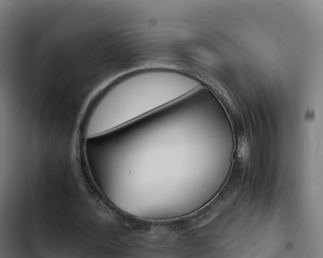 X0000103450388200809121131